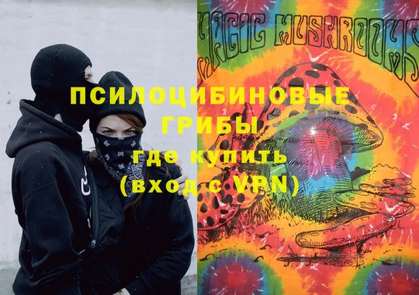 PSILOCYBIN Краснотурьинск