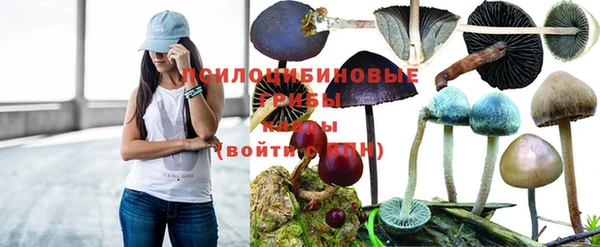 марки lsd Кирсанов