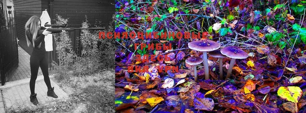 MDMA Краснослободск