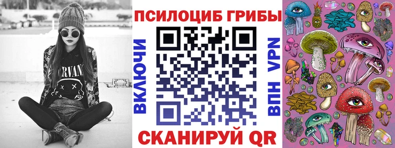 Галлюциногенные грибы Psilocybe  наркотики  Малгобек 